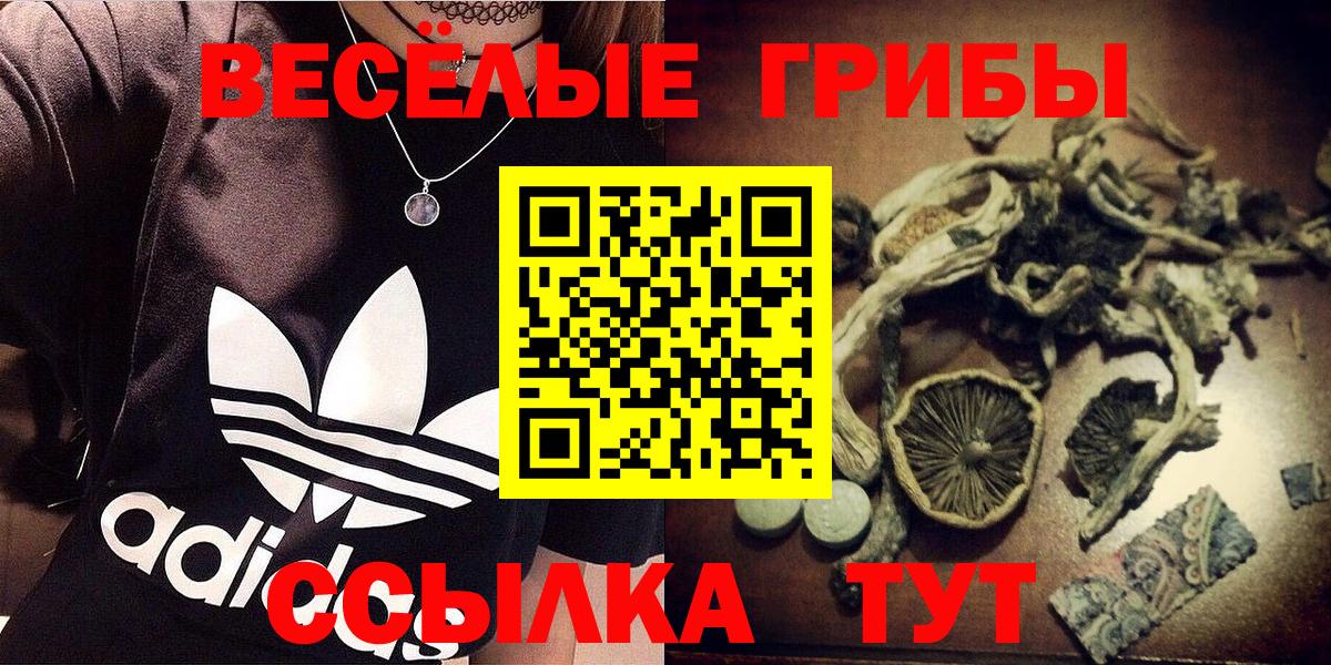 Псилоцибиновые грибы ЛСД  Псилоцибиновые грибы Cubensis  Азов  Вход с VPN 