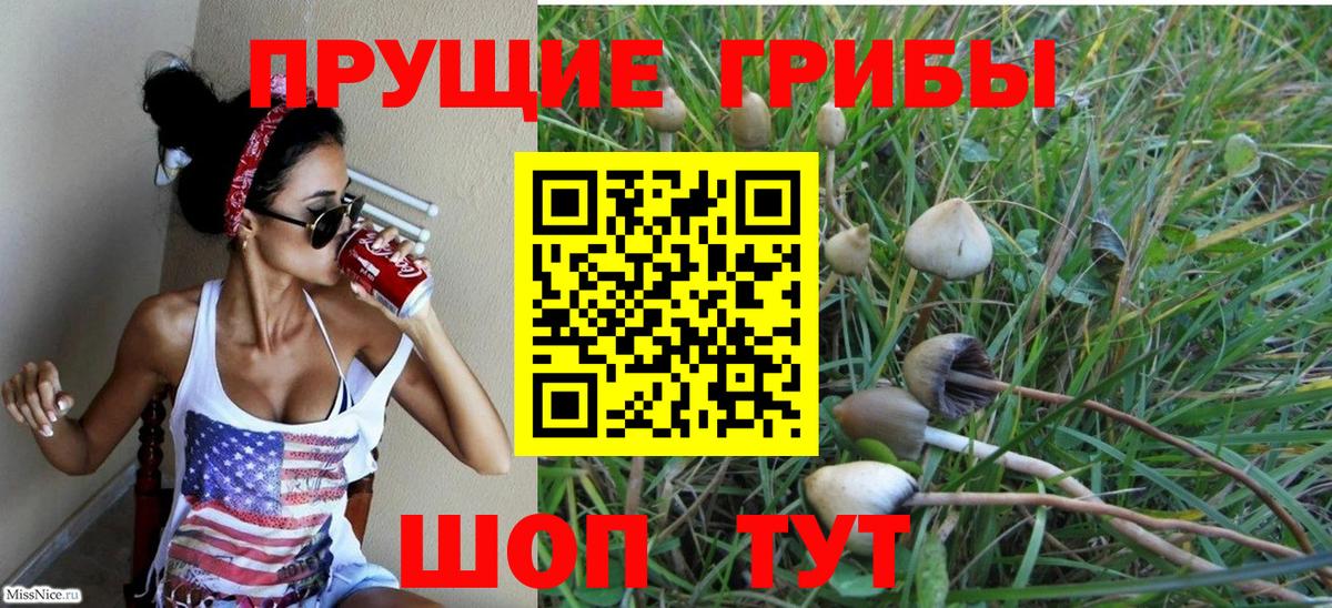 Галлюциногенные грибы мицелий Азов